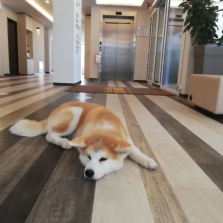 Grand Baltic Dunes & 4*