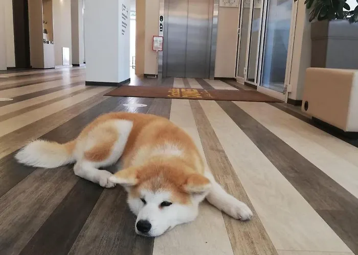 Grand Baltic Dunes & 4*